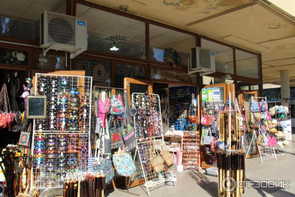 Отдых в г. Пицунда (Абхазия) фото