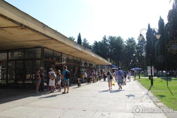 Отдых в г. Пицунда (Абхазия) фото