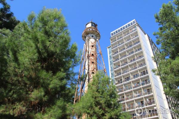 Отдых в г. Пицунда (Абхазия) фото