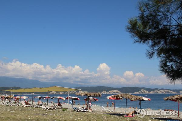 Отдых в г. Пицунда (Абхазия) фото