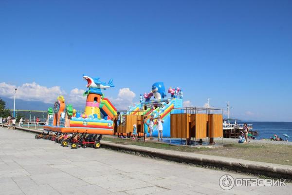 Отдых в г. Пицунда (Абхазия) фото