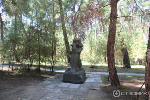 Отдых в г. Пицунда (Абхазия) фото