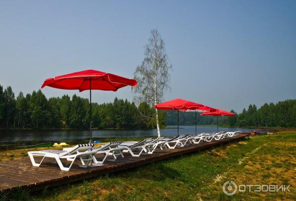 База отдыха Лесной Берег (Россия, Брейтово) фото