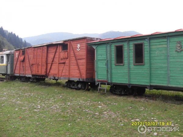 Музей под открытым небом Старе село (Украина, с. Колочава) фото