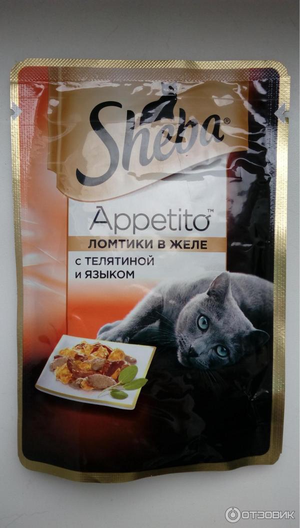 Кот блюет от сухого корма