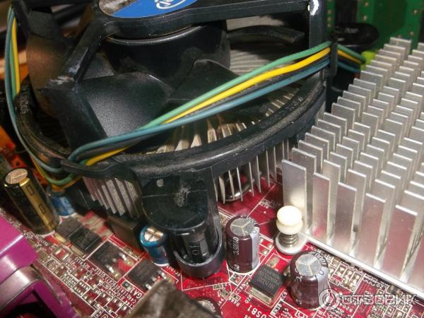 Процессор Intel Xeon L5420 фото