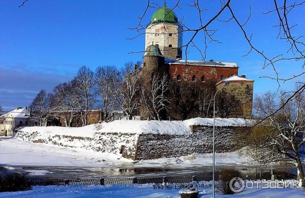 Экскурсия на башню Святого Олафа (Россия, Выборг) фото