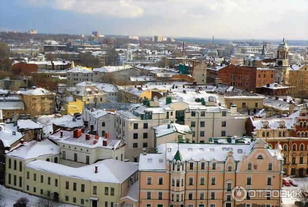 Экскурсия на башню Святого Олафа (Россия, Выборг) фото