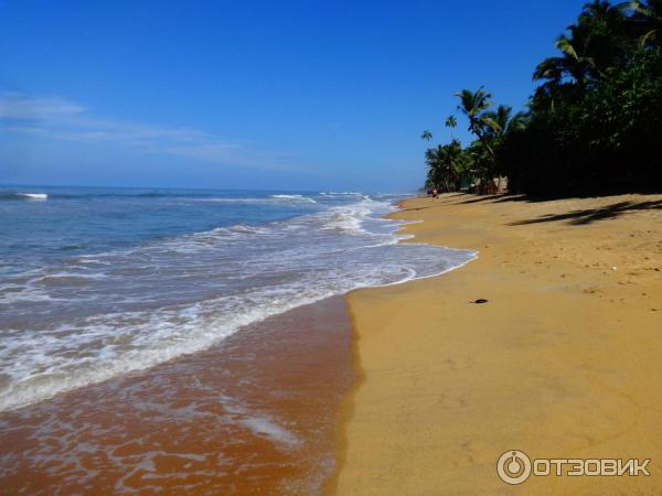 Отель Villa Ocean View