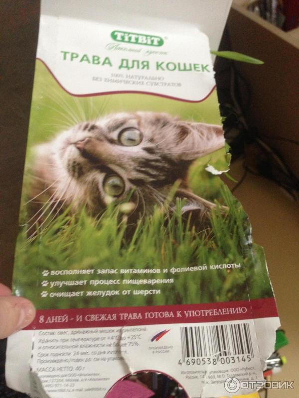 Трава для кошек TITBIT фото