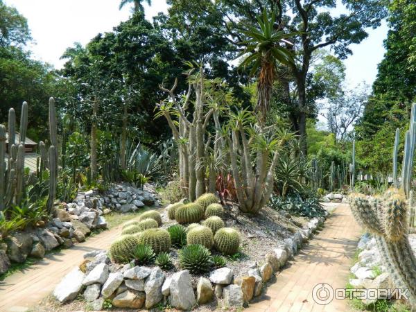 Ботанический сад в Рио-де-Жанейро (Jardim Botânico do Rio de Janeiro) — Бразилия | Место № 26