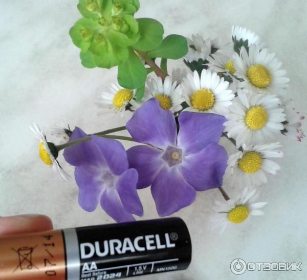 Батарейки Duracell AAA фото