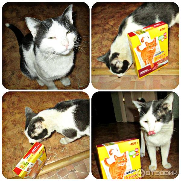 Сухой корм для кошек Purina Friskies фото