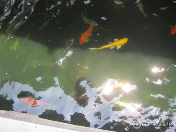 Путтапарти