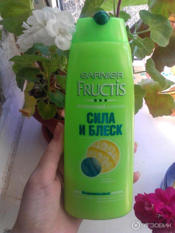 Укрепляющий шампунь Garnier Fructis Сила и блеск 2 в 1 фото