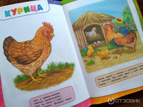 Книга Годовой курс занятий для детей 4-5 лет - издательство Эксмо фото