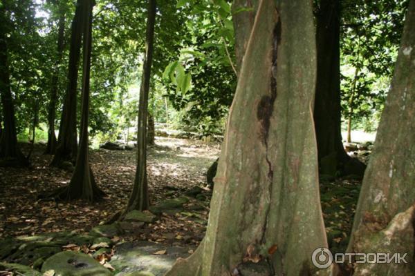 Отдых на острове Нуку Хива, Маркизские острова (Французская Полинезия) фото