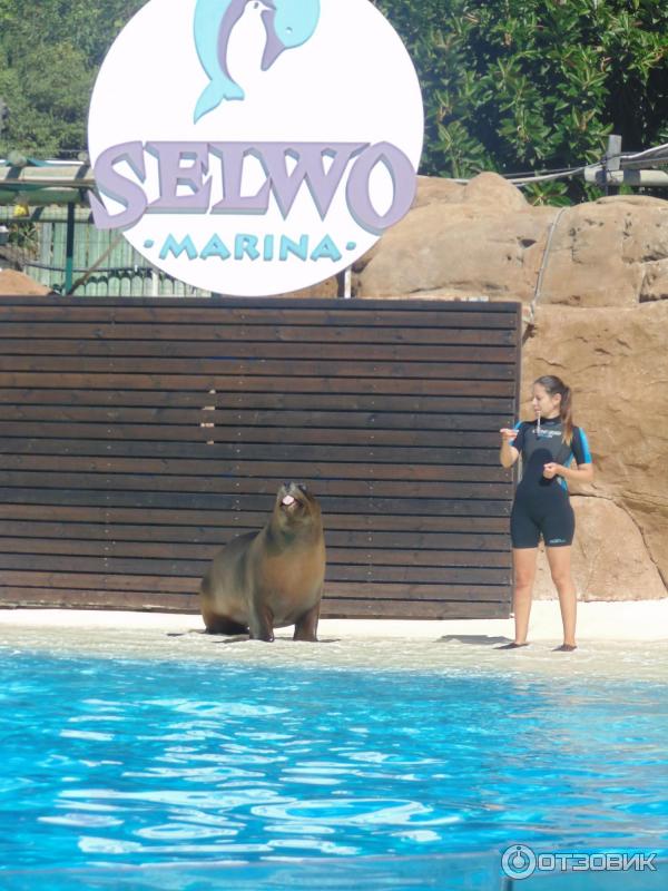 Дельфинарий Selwo Marina (Испания, Бенальмадена) фото