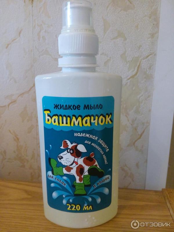 Башмачок для собак. Мыло башмачок для собак. Анашкин башмачки для собаки. Башмак для собак из жил. Башмачок для собак.