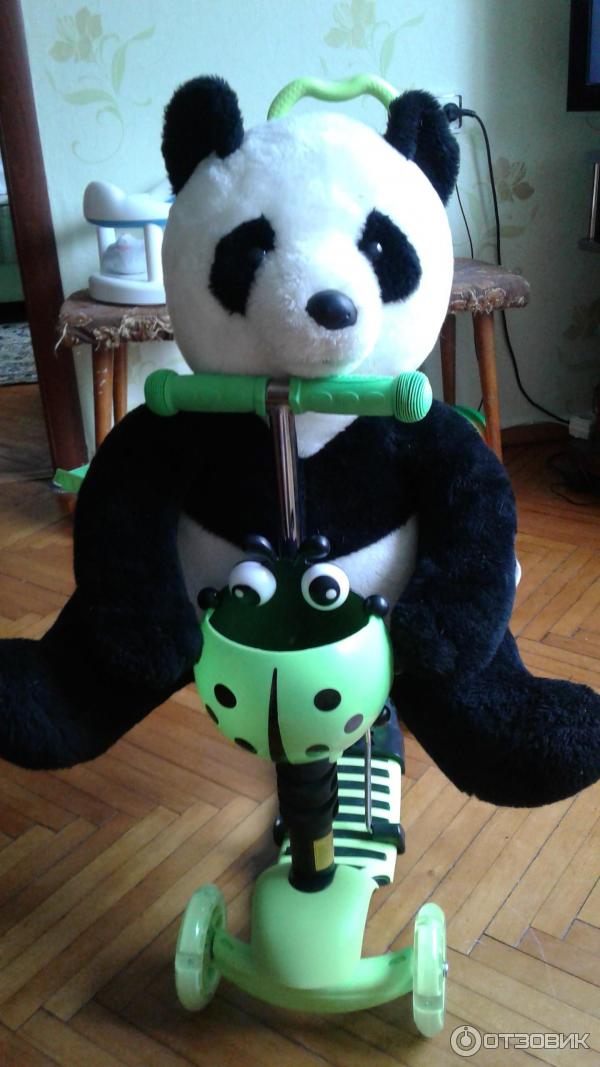 Самокат детский с родительской ручкой scooter mini 5 in 1 фото