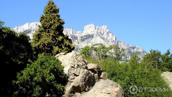 Алупкинский дворцово-парковый музей заповедник (Россия, Крым) фото