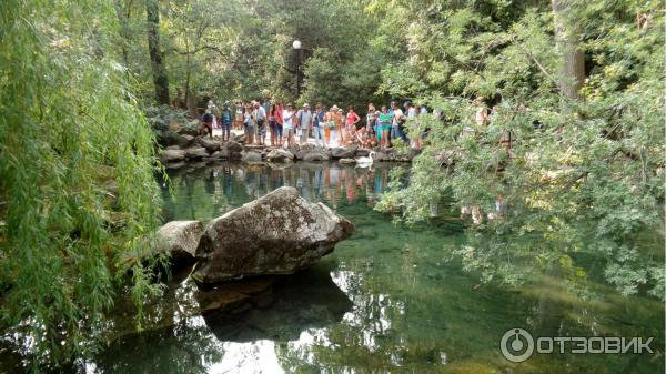 Алупкинский дворцово-парковый музей заповедник (Россия, Крым) фото