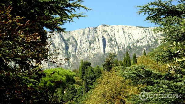 Алупкинский дворцово-парковый музей заповедник (Россия, Крым) фото