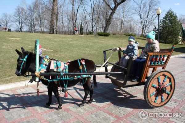 Отель Царьград Спас-Тешилово (Россия, Московская область) фото