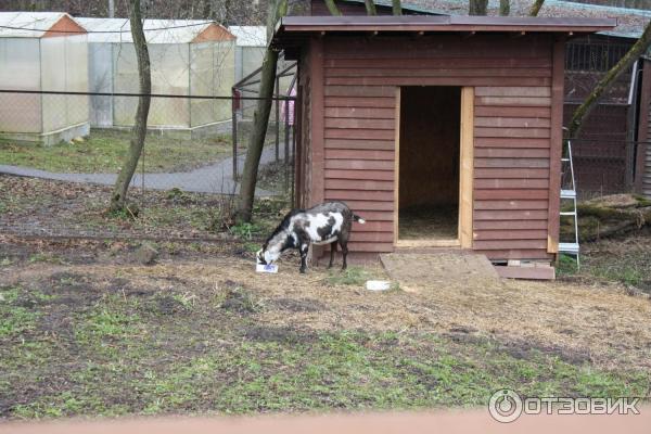 Отель Царьград Спас-Тешилово (Россия, Московская область) фото