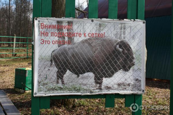 Приокско-террасный государственный биосферный заповедник (Россия, Московская область) фото