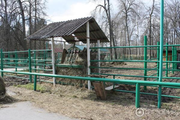 Приокско-террасный государственный биосферный заповедник (Россия, Московская область) фото