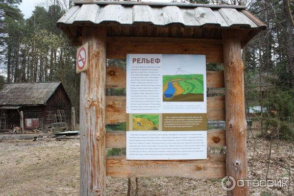 Приокско-террасный государственный биосферный заповедник (Россия, Московская область) фото