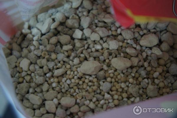 Удобрение для клубники весной для увеличения урожая