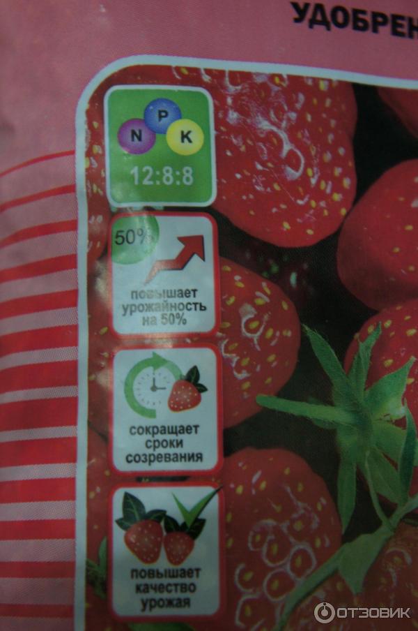 Удобрение для клубники весной для увеличения урожая