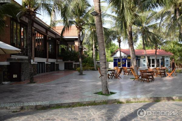Отель Dessole Sea Lion Beach Resort Mui Ne 4* (ex. Sealion Beach Resort&Spa) (Вьетнам, Фантьет) фото