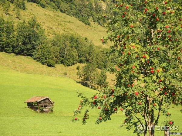 Экскурсия по Фуш-ан-дер-Гросглоккнерштрассе (Австрия, Зальцбург) фото