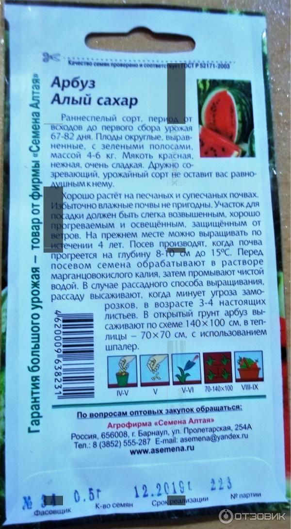 Купить Семена Алый Сахар