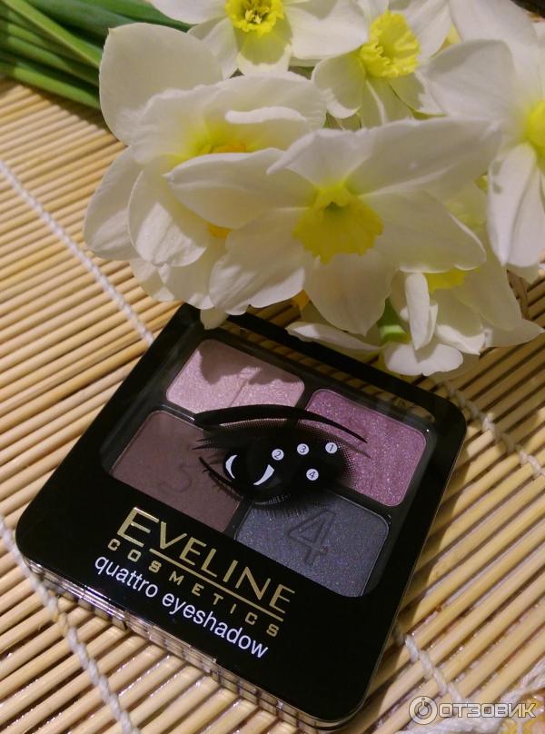 Тени для век Eveline Cosmetics Quattro Eye Shadow фото