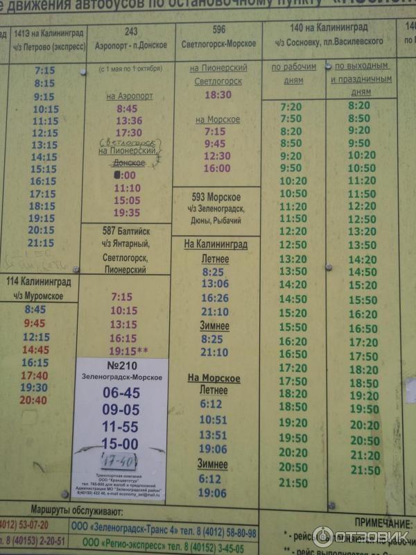 Расписание электричек светлогорск пионерский курорт сегодня. Автобус 210 Зеленоградск Морское. Расписание автобусов Зеленоградск Морское. Зеленоградск Морское расписание. 210 Зеленоградск Морское расписание.