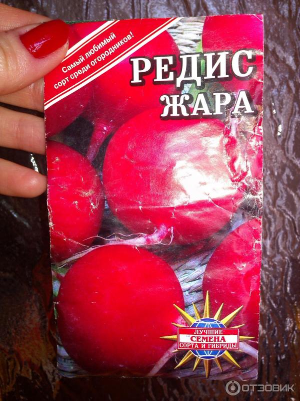 Сорт редиса жара отзывы. Сорт редиса жара отзывы