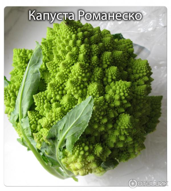 Капуста романеско