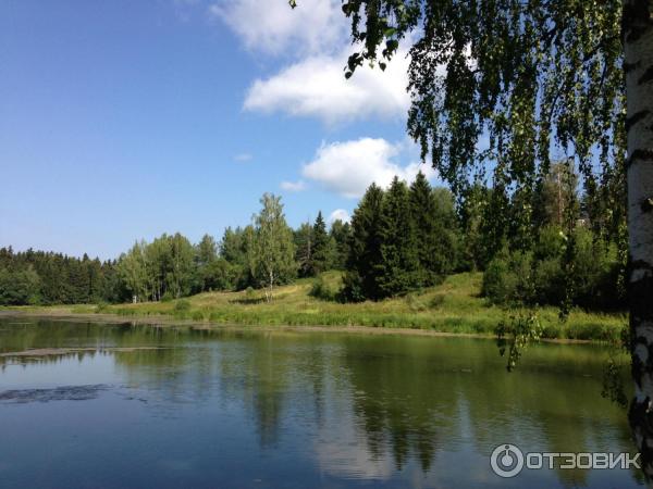 Музей-заповедник Абрамцево (Россия, Сергиево-Посадский район) фото