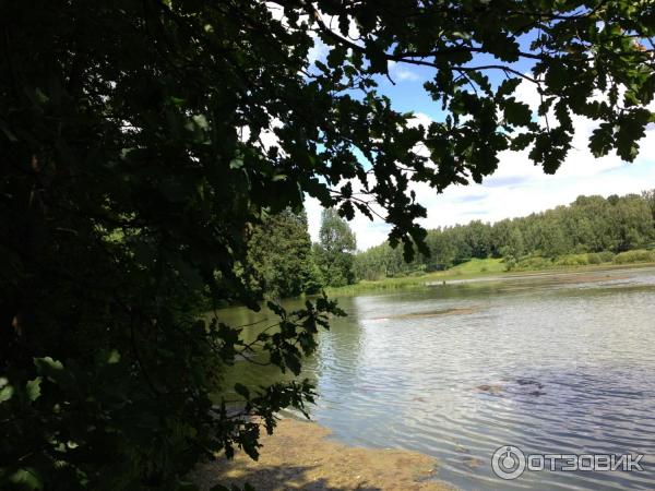 Музей-заповедник Абрамцево (Россия, Сергиево-Посадский район) фото