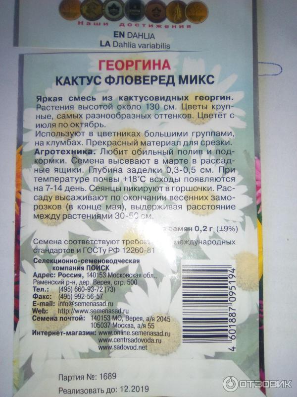 Семена цветов Поиск георгины Кактус фловеред микс