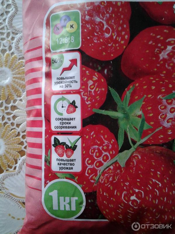 Специализированное удобрение Клубника Фаско фото