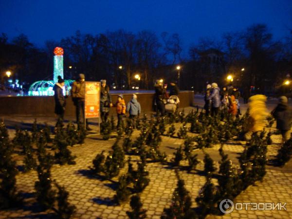 Цветной фонтан в Городском сквере (Украина, Мариуполь) фото