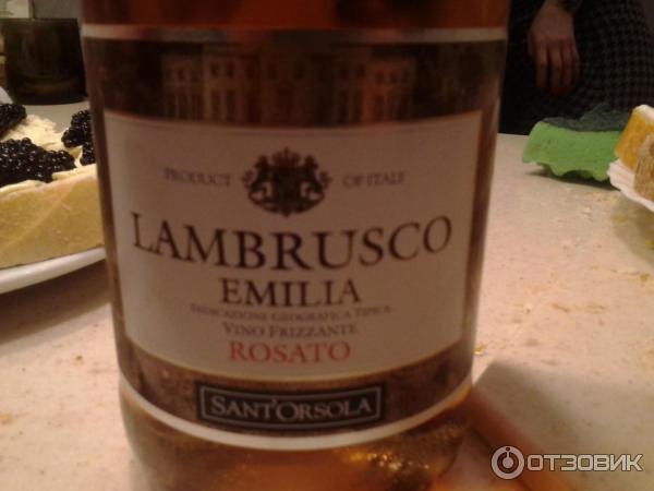 Игристое вино Sant`Orsola Lambrusco Emilia Rosato фото