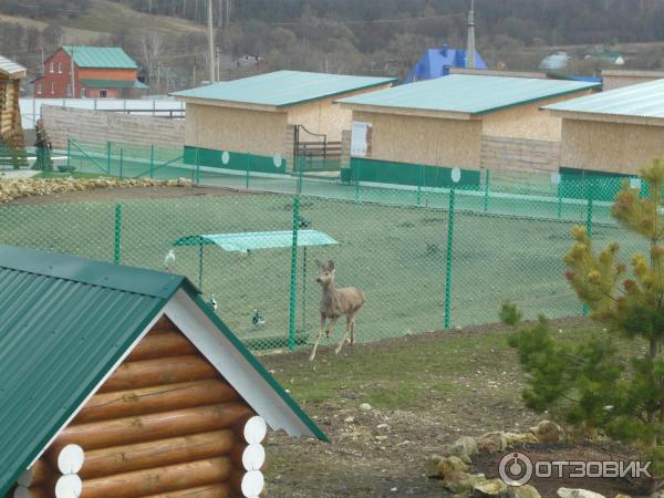 Казеевка Экокомплекс Пенза Фото