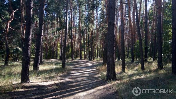 Фото сделанное на мой телефон