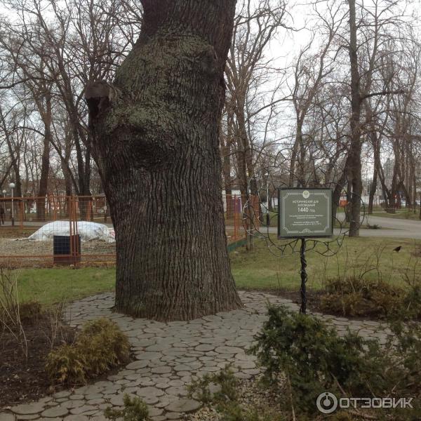 Городской сад, Краснодар